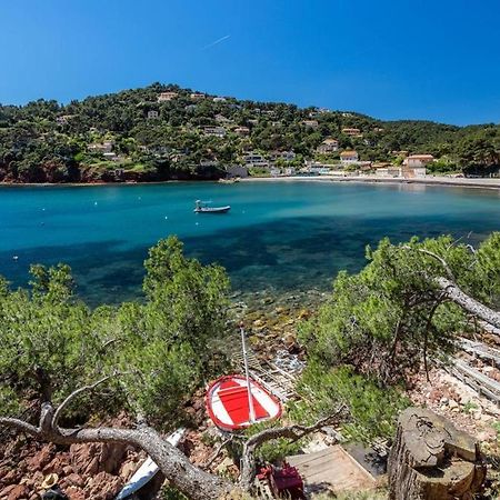 Appartement "Le Fabregas" 4 Pers Vue Mer La Seyne-sur-Mer Eksteriør billede