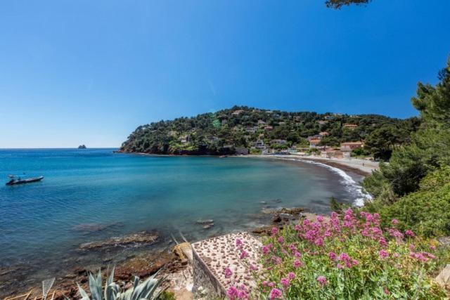 Appartement "Le Fabregas" 4 Pers Vue Mer La Seyne-sur-Mer Eksteriør billede